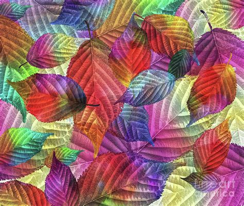 Colorful Leaves Digital Art by Inspired Images | Fine Art America