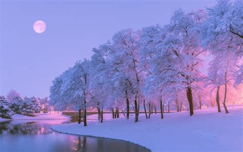 Preview Wallpaper Winter, Trees, River, Lake, Snow, - Beautiful Winter - 1440x2560 Wallpaper ...