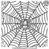 Detailed Spider Web Coloring Pages sketch template