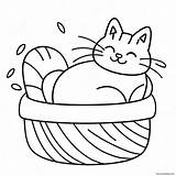 Fluffy Cat Sleeping In A Basket Coloring Page 52314 41379 sketch template