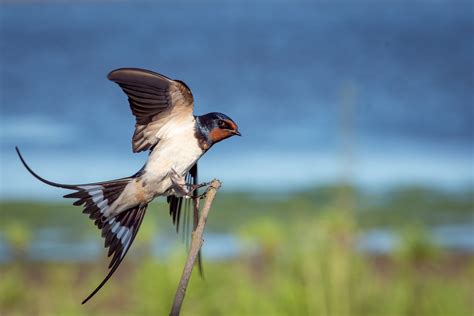 10 best destinations for birdwatching — Travelling Tom | A UK travel blog