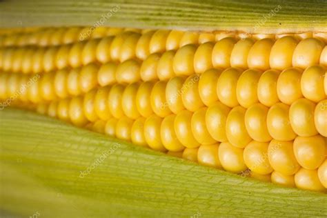 Corn on the cob background - Stock Photo , #spon, #cob, #Corn, # ...