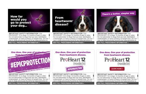 ProHeart 12 on Behance