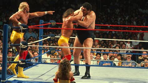 Ranking SummerSlam #19: 1988 - Hulk Hogan and Randy Savage vs. Andre the Giant and Ted Dibiase ...