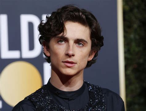 Timothee Chalamet baffles Golden Globes viewers with outfit featuring ...