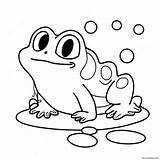 Cute Frog Tadpole Coloring Page 70215 55602 sketch template