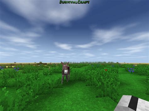 Rideable Animals | SurvivalCraft Wiki | FANDOM powered by Wikia