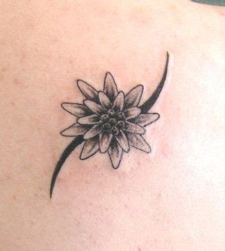 Edelweiss Flower Tattoo Small - Wiki Tattoo