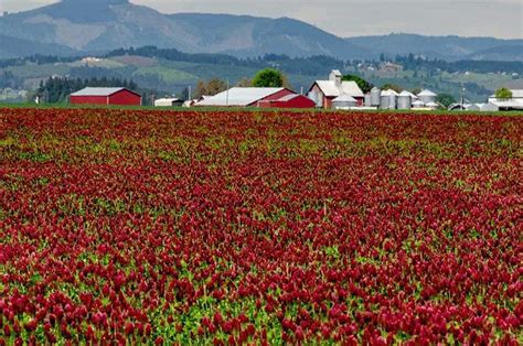 Washington County - Portland, OR Real Estate