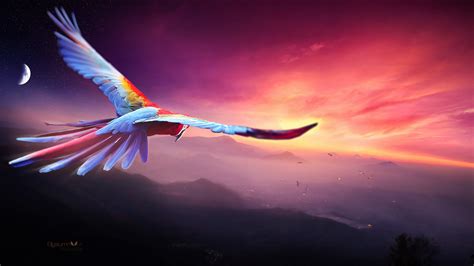 Macaw Flight Digital Art 4k Wallpaper,HD Birds Wallpapers,4k Wallpapers,Images,Backgrounds ...