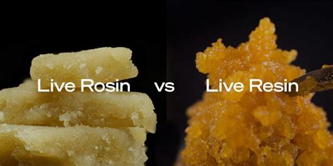 Live Rosin vs Live Resin: Similarities and Differences