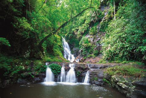 Gold Coast Hinterland Great Walk - Aussie Specialist Program - Tourism ...