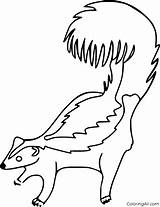 Skunk Coloring Pages 27 Free Printables  ColoringAll sketch template