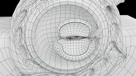 Human Gastrulation Animation