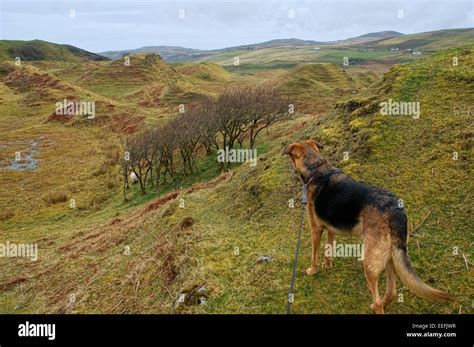 Isle of Skye, Inner Hebrides, Scotland Stock Photo - Alamy