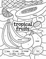 Tropical Fruits Color By Number Coloring Page  Free Printable sketch template