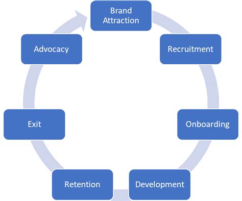 The Employee Lifecycle and it's 7 Stages | Qualtrics