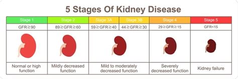 Chronic Kidney Disease (CKD)