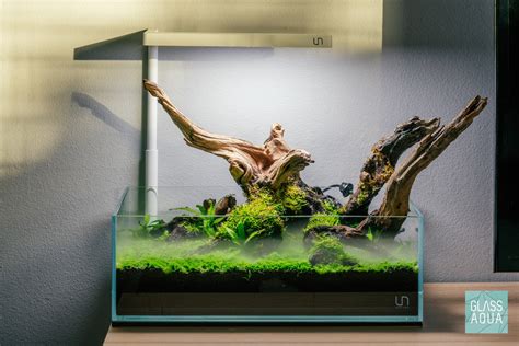 Ultum Nature Systems Rimless Low Shallow Glass Aquarium Tank