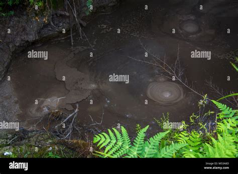 Boiling mud pool Stock Photo - Alamy