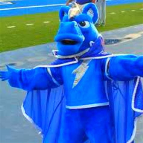 MTSU mascot | Blue horse, Mascot, Giant stuffed animals