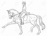 Dressage Horse Coloring Pages At GetDrawings  Free Download sketch template