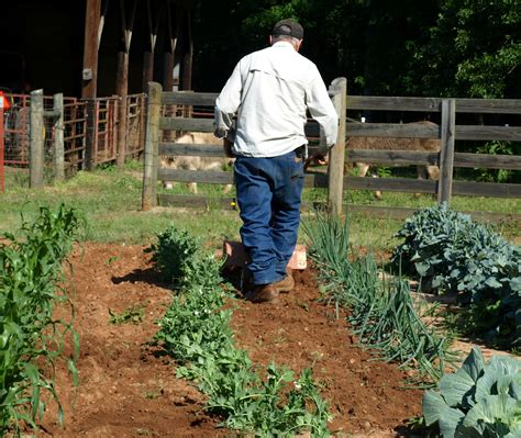 How To Make Garden Rows With A Tiller | Fasci Garden