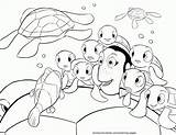 Bruce Finding Nemo Coloring Pages Coloring sketch template