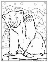 14 Polar Bear Coloring Pages Free PDF Printables sketch template