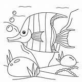 Angelfish Coloring Page For Kids Stock Vector  Illustration Of Reef sketch template