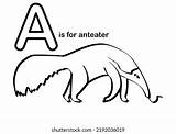 Preschool Coloring Page Animals Anteater Stock Illustration 2192036019  sketch template