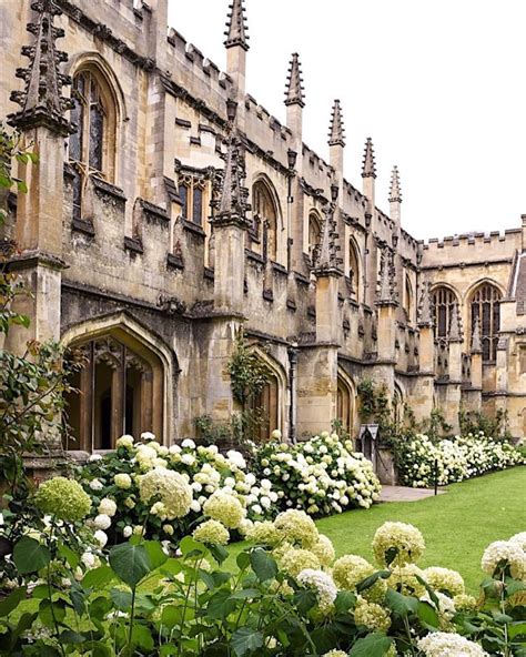 College Oxford Magdalen That You Have to See - College Camp