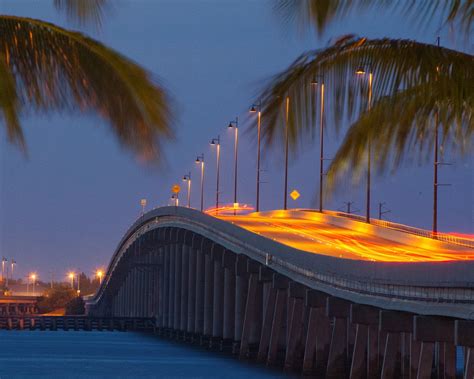 Night Bridge Palm Trees - Free photo on Pixabay - Pixabay