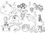 Water Animals Coloring Pages At GetColoringscom  Free Printable sketch template