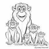Baboon Coloring Pages  Free & Printable sketch template