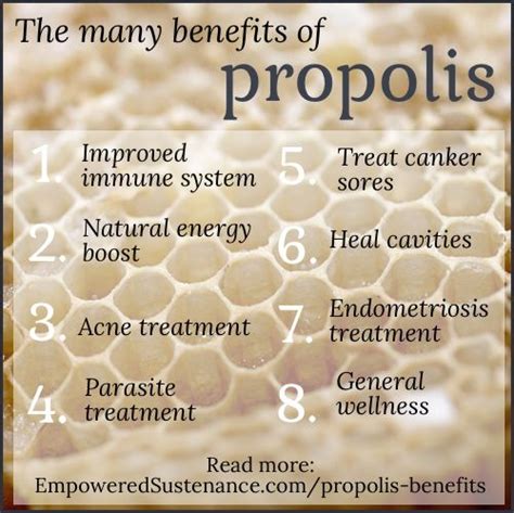 The Benefits of Propolis (Why I eat bee glue!) | Propolis benefits ...