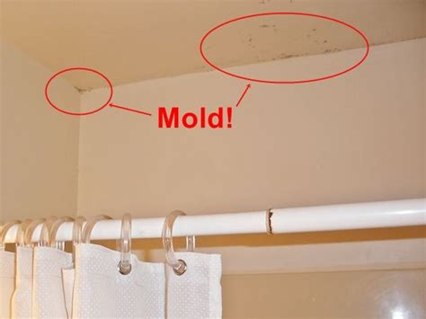 Mold In Bathroom Ceiling Dangerous | Shelly Lighting