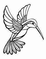 Hummingbird Coloring Pages Free Printable PDF sketch template
