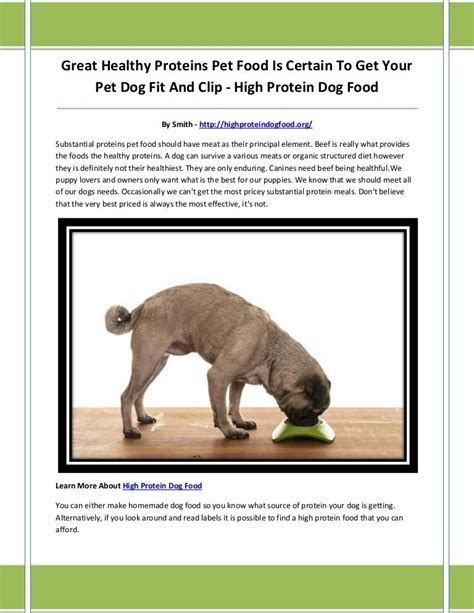 High protein dog food