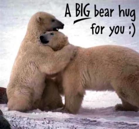 A Big Bear Hug For You - DesiComments.com