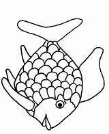 The Rainbow Fish  PDF Worksheets Library sketch template