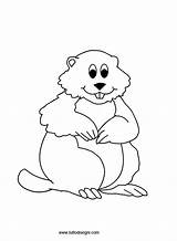 Marmot  Coloring Page For Kids sketch template