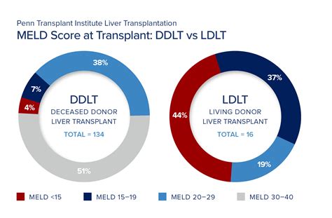 Living Donor Liver Transplantation at Penn Medicine - Penn Medicine