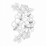 Hawaiian Flower Coloring Sheet sketch template