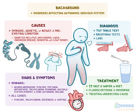 Dysautonomia: What Is It, Causes, Signs, Symptoms, Diagnosis, and More ...