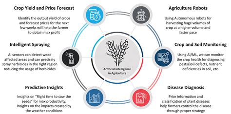 How AI is Revolutionizing the Agriculture Sector? – Blog | Miracle