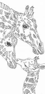 25 best ideas About Colouring Pages On Pinterest Adult  Coloring sketch template