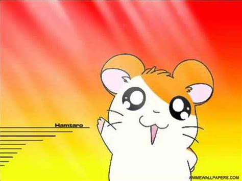 Hamtaro Opening Song Indonesia Ver - YouTube