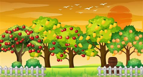 Farm scene with many different fruits trees at sunset time 2747495 Vector Art at Vecteezy