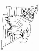 Bald eagle And Us flag coloring Pages  Hellokidscom sketch template